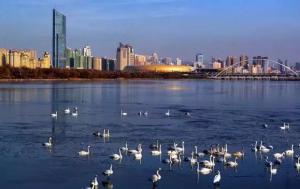 三門(mén)峽又一網(wǎng)紅景點(diǎn)，確定不來(lái)pick一下？